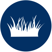 grass icon